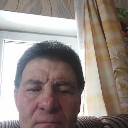 , 56, 