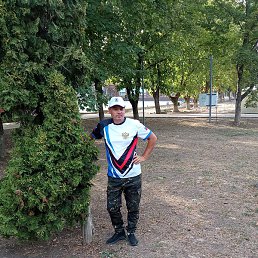 �������, ����������, 51 ���