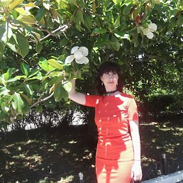 ������, ����