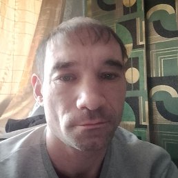 ����, ������, 41 ���