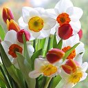 ���� ������, ���������, 44 ���� - ��������� 19 ��� 2025