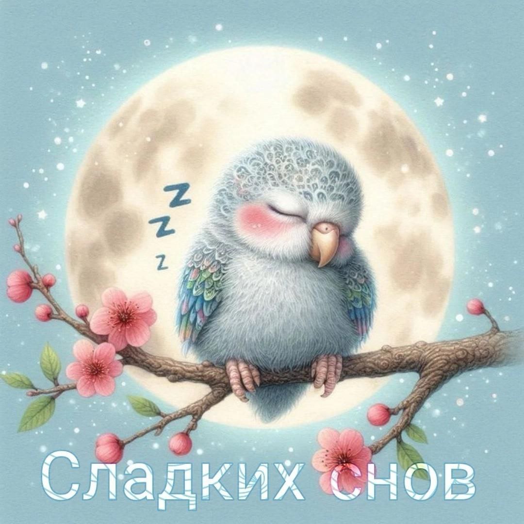  - 21  2025  00:44 - 5