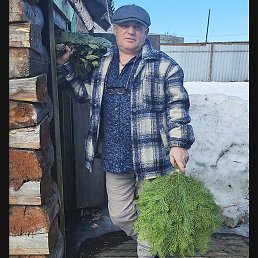 ���������, ���������, 56 ���