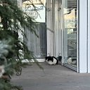 ���� ������, ���������� - ��������� 27 ������� 2025 � ������ ������ ��������