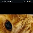 ���� ���������, ������, 48 ��� - ��������� 30 ������� 2023 � ������ ���� ����������