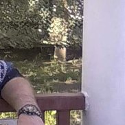 ����, 64 ����, ������