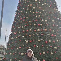 �������, ������, 43 ����