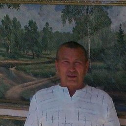 , 61, 