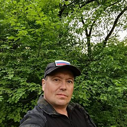 ������, 44 ����, �������