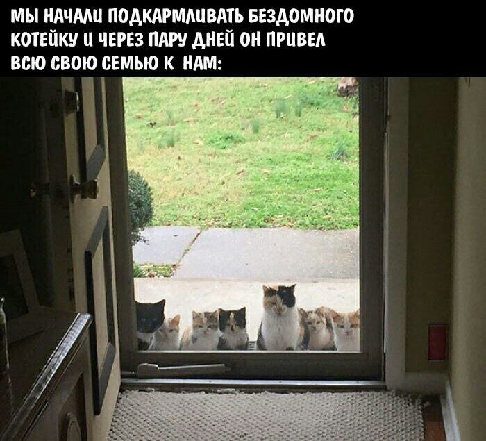    - 27  2023  14:40
