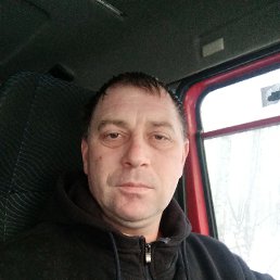 ���� ����, �����, 43 ���� - ��������� 12 ������ 2026