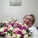 ���� �������, ����������, 53 ���� - ��������� 22 ������� 2024 � ������ ���� ����������