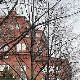 ����, ���������, 43 ����