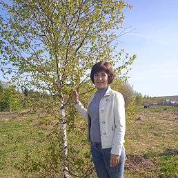 ���� �����, �����, 53 ���� - ��������� 14 ������ 2024