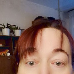 , 53, 
