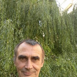 �������, 62 ����, ������