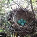 ���� ��������, ����������� - ��������� 18 ������ 2025