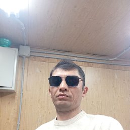 , 37, 