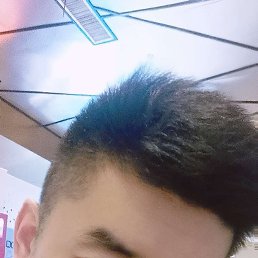 ���� Heins, �����, 36 ��� - ��������� 4 ������� 2023