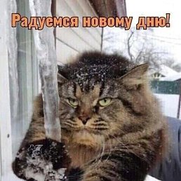 ���� ��������, �����, 75 ��� - ��������� 7 ������ 2024