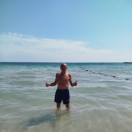 , 62, 