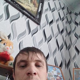 ����, 37 ���, �������