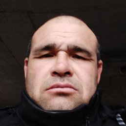 ������, ������, 46 ���