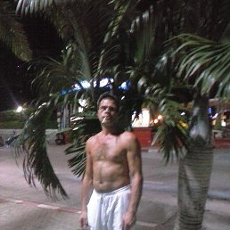 , 51 , 