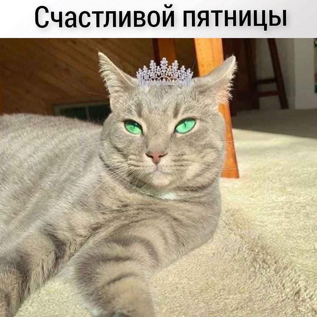       - 10  2025  11:13 - 5