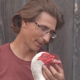 ���� ��������, ������, 41 ��� - ��������� 19 ������ 2026