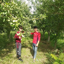 ������, ������, 22 ����