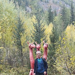 ��������, �����������, 66 ���