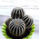 ���� ����, ���� - ��������� 9 ������ 2024