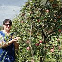 ���� �����, �����������, 60 ��� - ��������� 3 ������ 2025