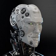 �����, 41 ���, ������