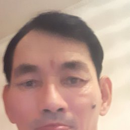 , 52, 