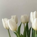 ���� �����, �����-���������, 43 ���� - ��������� 30 ���� 2025 � ������ ���� ����������