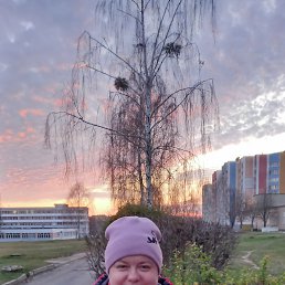 ���� ����, �����, 38 ��� - ��������� 11 ������ 2026