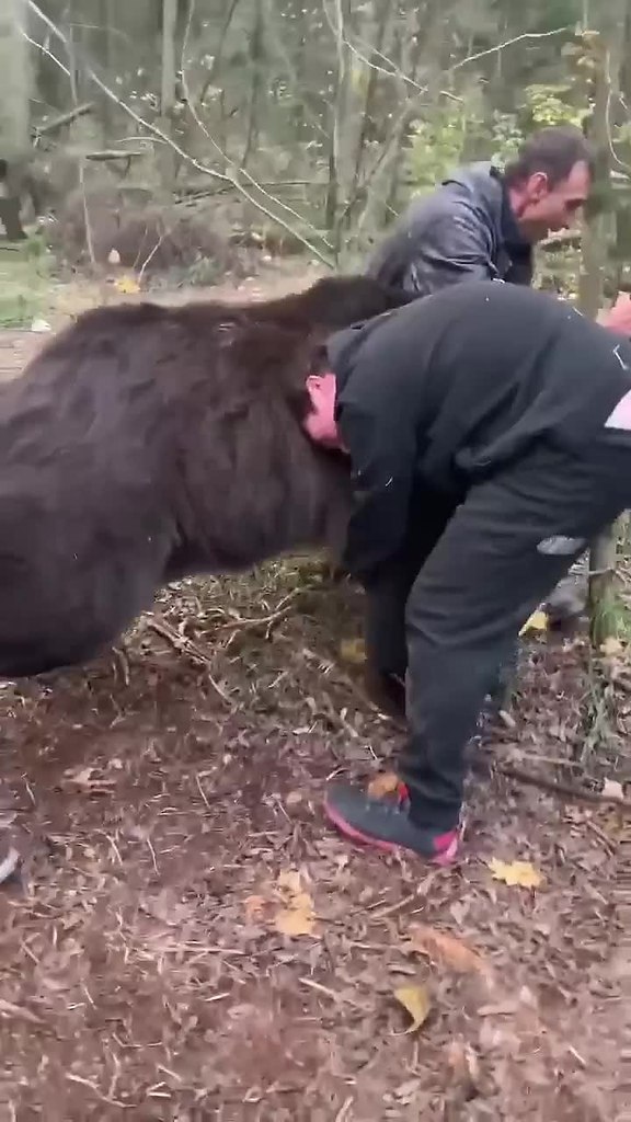 �������� ����� �������� ��������, � ��� �� ������ - 2
