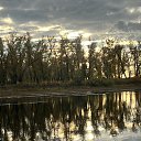 ���� �������, ���������, 53 ���� - ��������� 23 �������� 2024 � ������ ���� ����������