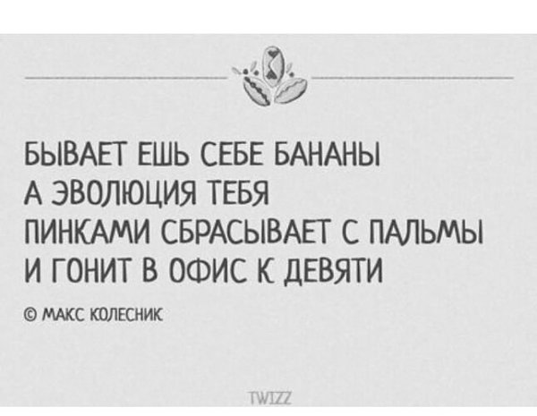 �� ����� ������! - 9 ������ 2024 � 06:59