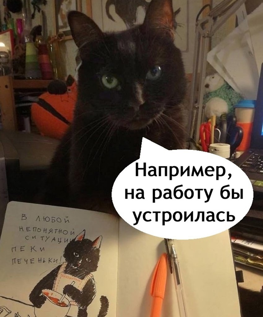 ���� ��� �� �� ���� ������� ������ ��� - 4