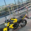 ���� ������, �����, 37 ��� - ��������� 13 ������ 2023 � ������ ���� ����������