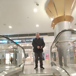 ����, �����-���������, 41 ���