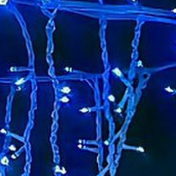 ����, �����-���������, 31 ���