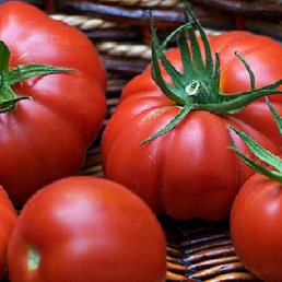 Masha, �������, 20 ���