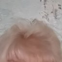 ���� �������, �����-���������, 63 ���� - ��������� 16 ��� 2025 � ������ ���� ����������