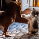 ���� �����, ������, 67 ��� - ��������� 27 ������ 2024 � ������ ������ ��������