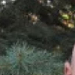 ����, ������, 51 ���