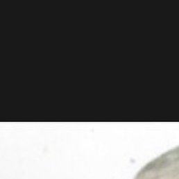 ����, ������, 55 ���